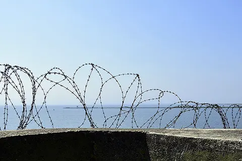 Термины колючих заграждений — справочное изображение о колючих заграждениях